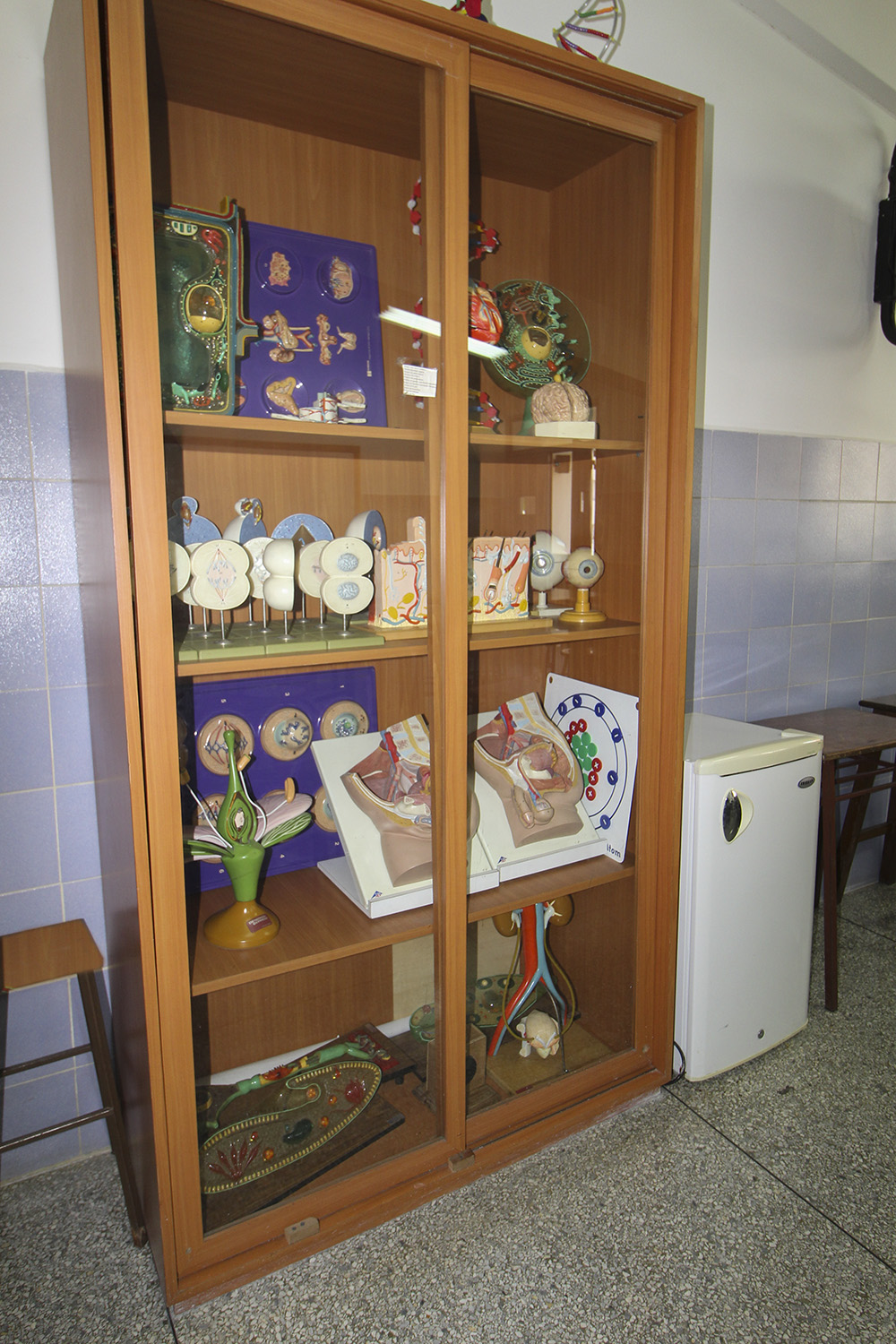 Área Deportiva